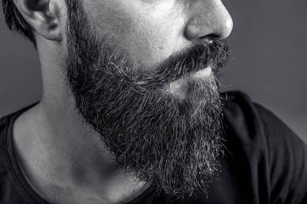 Closeup of a young man's beard and mustache over gray background.Perfect beard - 写真・画像