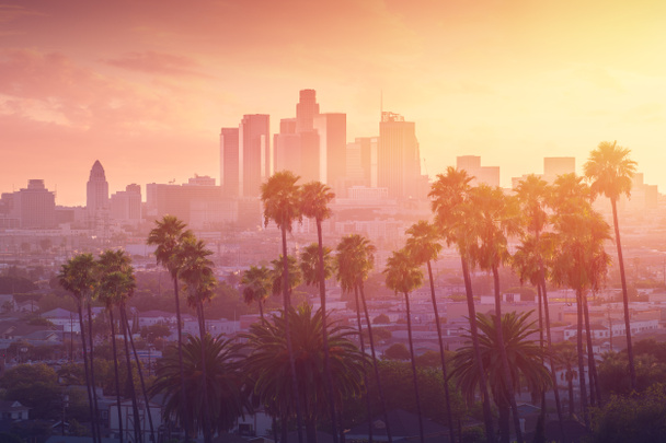 Los Angeles hete zonsondergang met palmboom en downtown op achtergrond. Californië, Verenigde Staten. - Foto, afbeelding