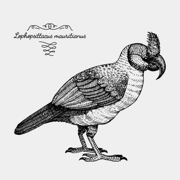 Векторная реалистичная птица, эскиз графический стиль
, - Вектор,изображение