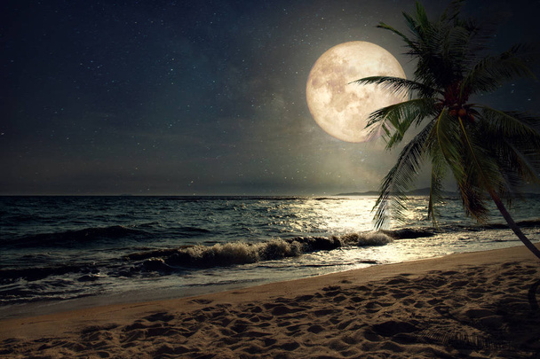 пляж со звездой Млечного Пути в ночном небе полнолуние
 - Фото, изображение