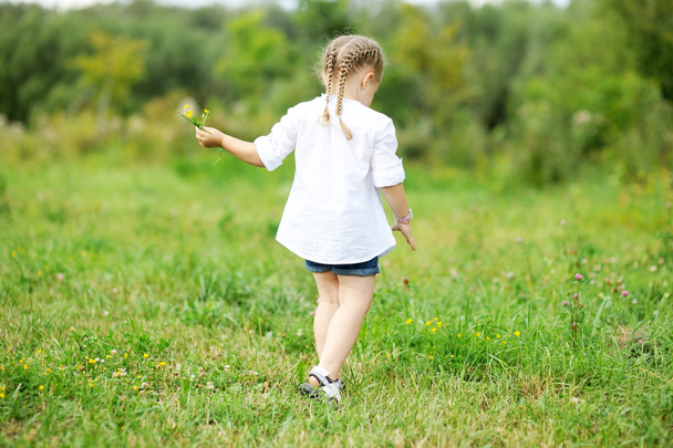 Little girl gathering flowers on field - Φωτογραφία, εικόνα