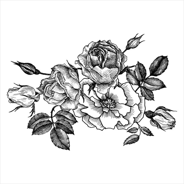 ビンテージ ベクトル花要素 - ベクター画像