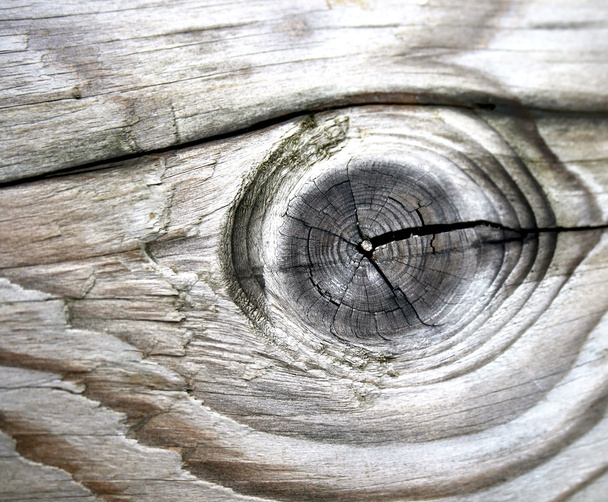 régi fa gabona-részlet - Fotó, kép