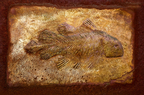 El fósil modelo de los peces antiguos
 - Foto, imagen