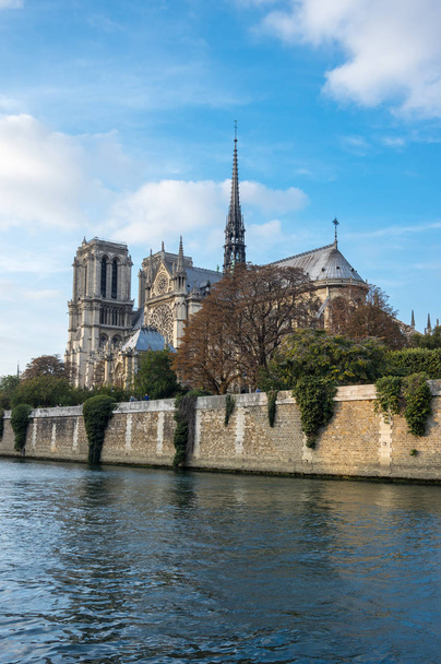 Notre-Dame von Paris - Foto, Bild