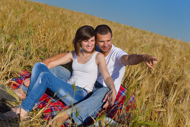 Happy couple in wheat field - Fotografie, Obrázek