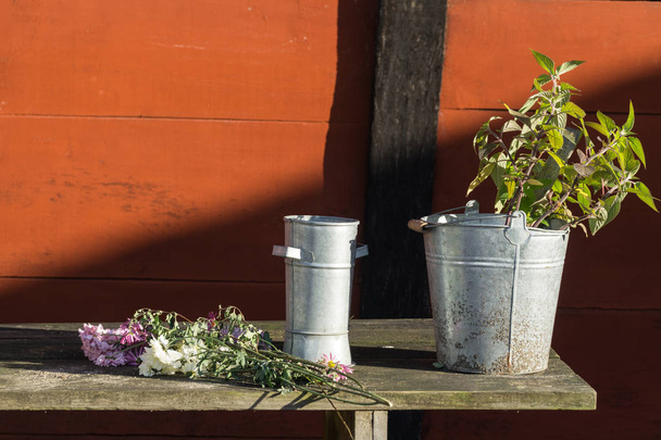 Tabulka romantické idylické rostlin v zahradě staré retro květináč květináče, nářadí a rostliny - Fotografie, Obrázek