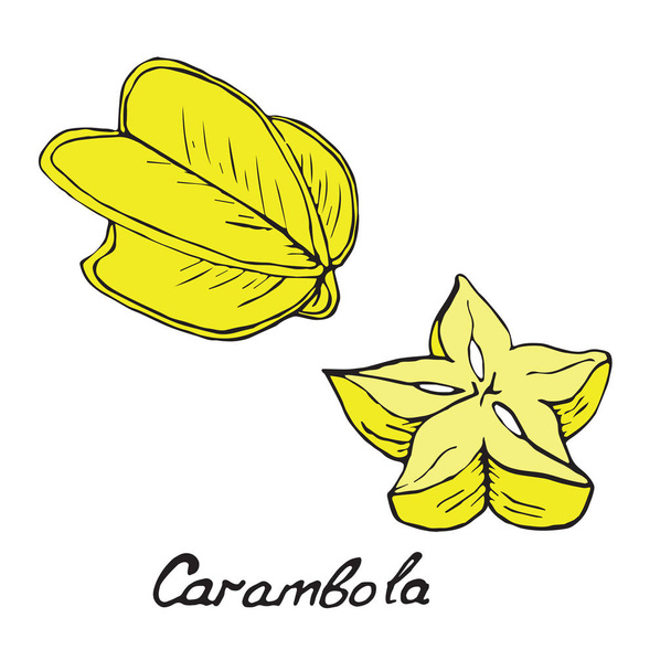 Carambola and sliced piece, hand drawn doodle - Vector, Imagen