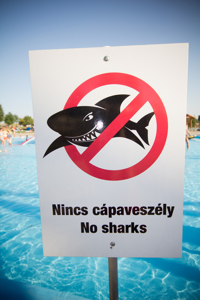 No sharks - Photo, Image