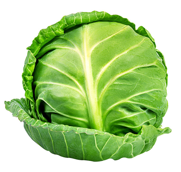 Green cabbage isolated on white  - Photo, Image