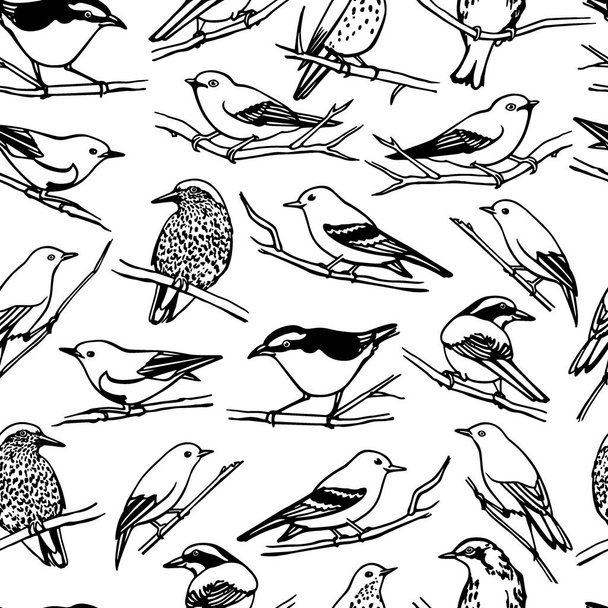 Birds seamless pattern - Вектор,изображение