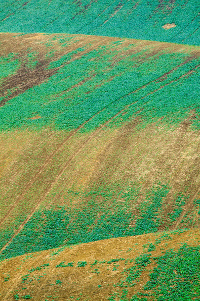 Landbouw van Moravische velden in Tsjechië. - Foto, afbeelding