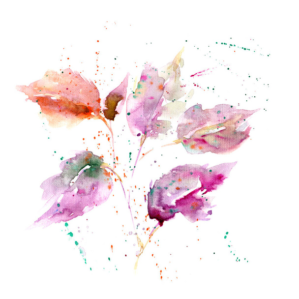 beautiful floral illustration with watercolor leaves for card decor. - Foto, imagen