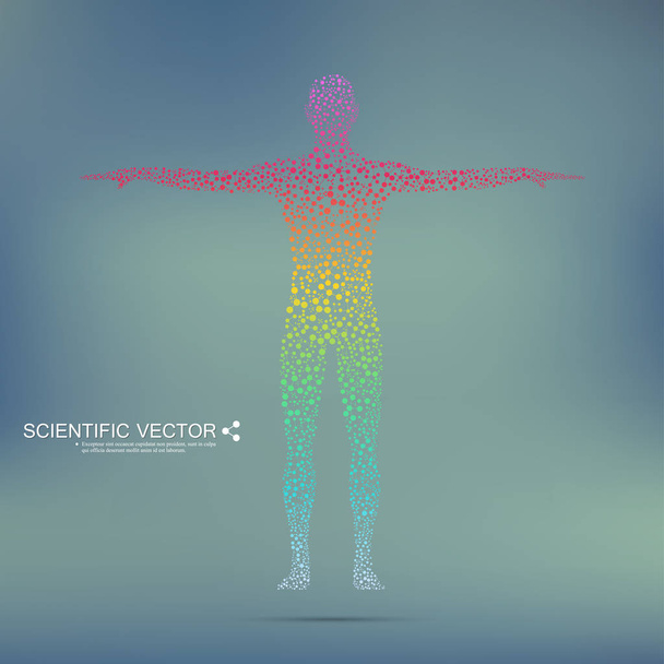 Strukturmolekül des Menschen. abstraktes Modell menschlicher Körper dna. Medizin, Wissenschaft und Technologie. wissenschaftlicher Vektor für Ihr Design. - Vektor, Bild