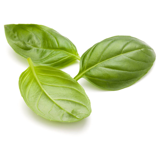 Sweet basil herb leaves  - Zdjęcie, obraz