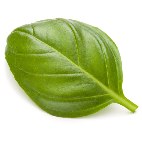 Sweet basil herb leaf - Foto, Imagen