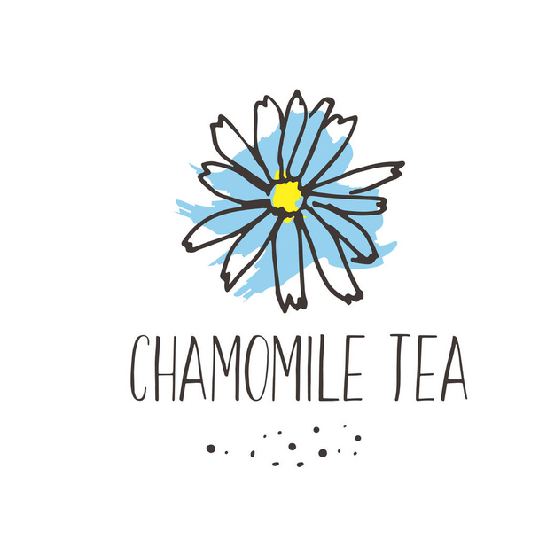 Chamomile tea print. Organic herbal hot drinks pakage design. Hand sketched herbs and flowers illustration collecton. - Vector, Image