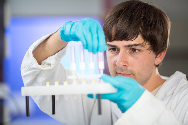 jeune chercheur masculin effectuant des recherches scientifiques dans un laboratoire  - Photo, image