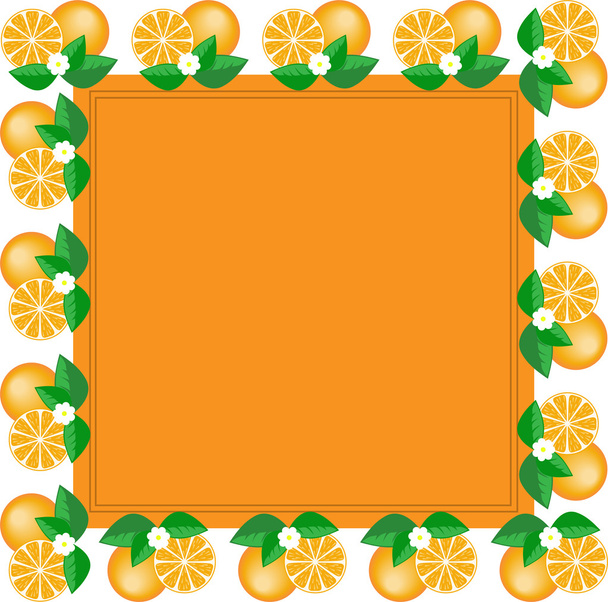 Frame of oranges - Vector, Image