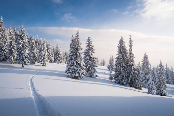 Winter landscape with footpath in the snow - Fotó, kép