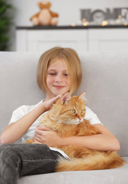 a piros bolyhos macska lány  - Fotó, kép