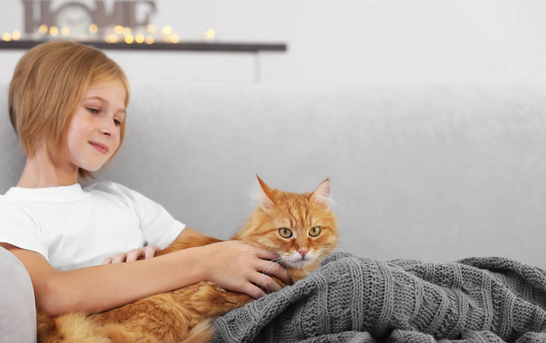 girl with red fluffy cat  - Valokuva, kuva