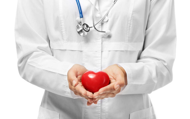 cardiologist holding plastic heart  - Foto, afbeelding