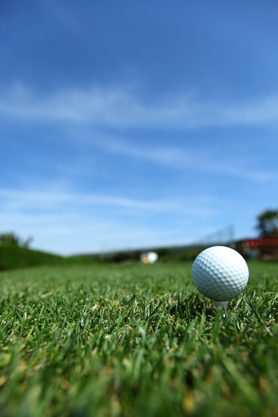 pelota de golf en el campo
 - Foto, imagen