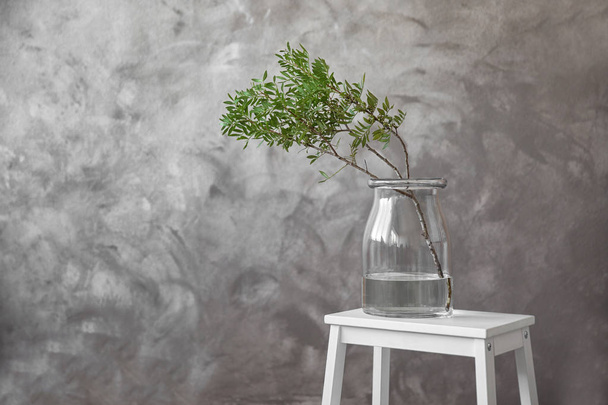 Green branch with leaves in glass vase on grey background - Foto, Imagen