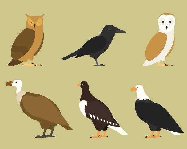 Set of flat birds, isolated on background. different tropical and domestic birds, cartoon style simple birds for logos. - Vector, Image