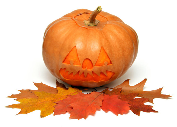 horrendous Halloween Pumpkin - Photo, image