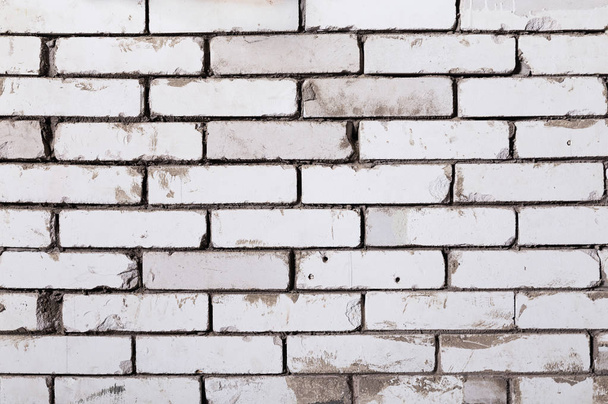 background of white brick wall texture - 写真・画像