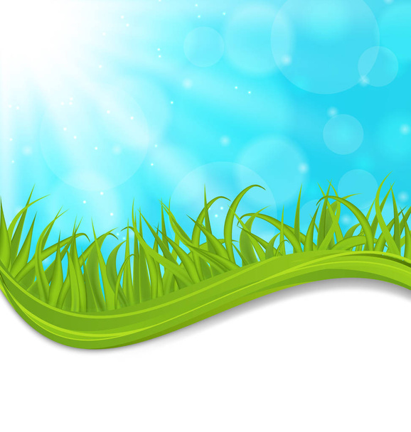 Spring natural card with green grass - Фото, изображение