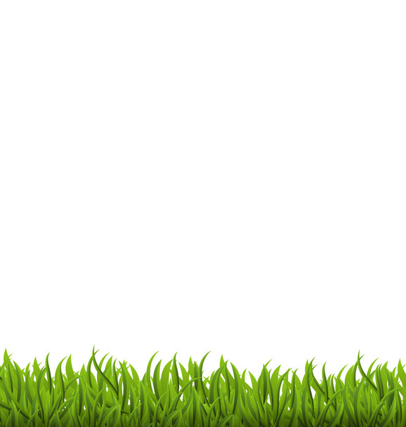 Voorjaar achtergrond met groene gras, ruimte voor uw tekst - Foto, afbeelding