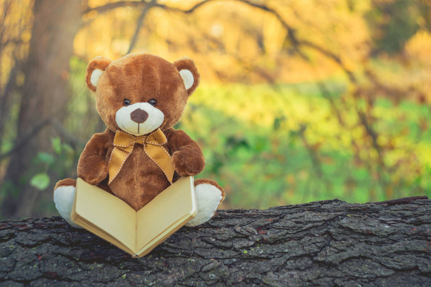 Teddybär mit Buch sitzt im Herbst auf Holz - Foto, Bild