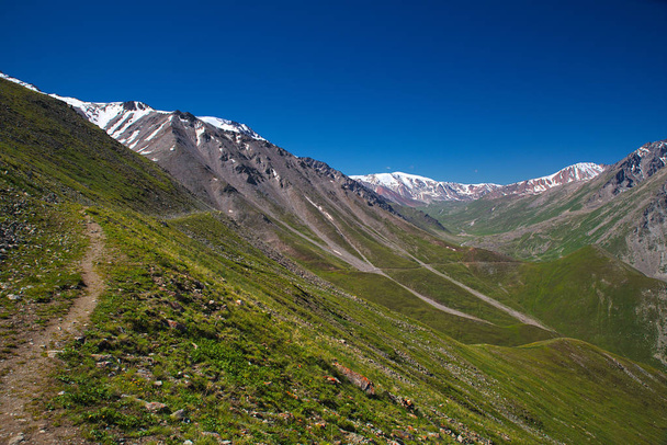 Green grassy mountain valley with ice peaks, Central Tien-Shan,  - Foto, immagini