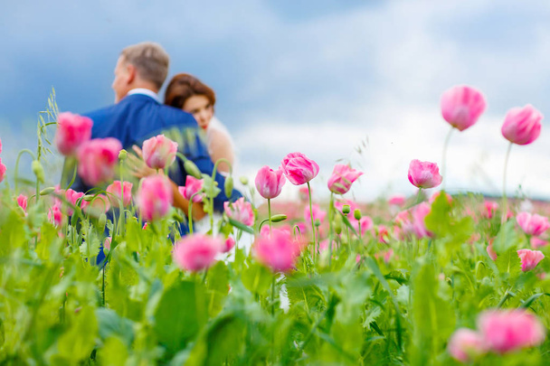 Счастливая свадебная пара в розовом маковом поле
 - Фото, изображение