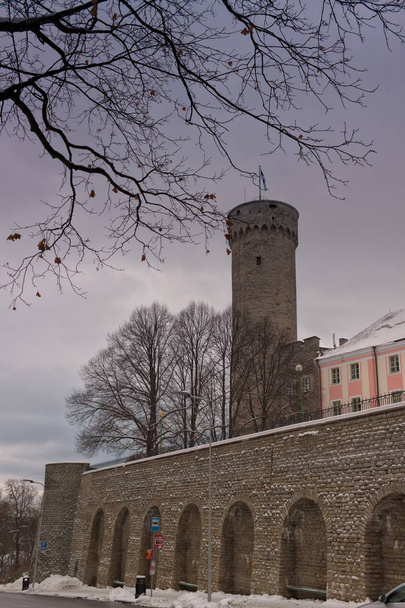 Toompea Castle ve Pikk Hermann Kulesi - Fotoğraf, Görsel