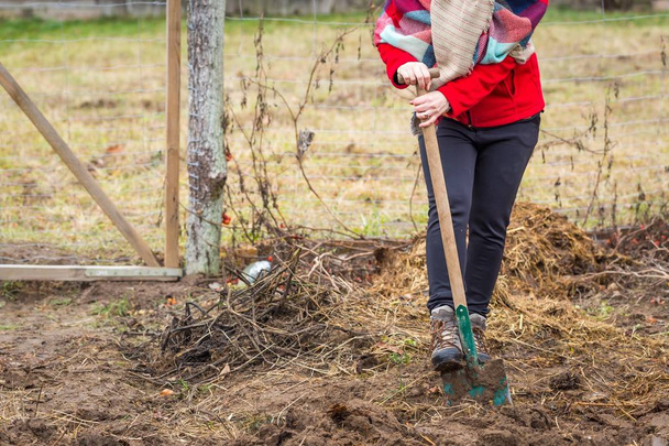 Женщина копает лопатой в саду
 - Фото, изображение
