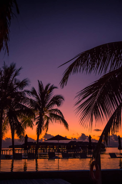 Zachód Słońca Plaża w Malediwy - Zdjęcie, obraz
