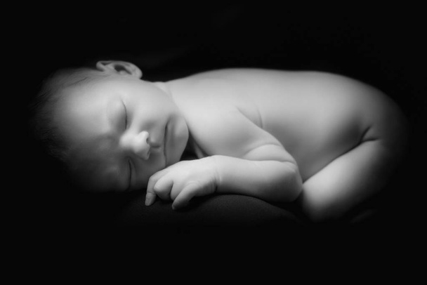 Newborn girl portrait.  - Valokuva, kuva