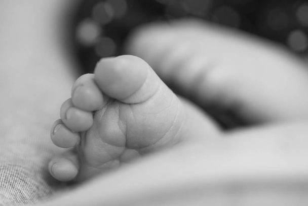 Newborn girl feet  - Foto, Imagen