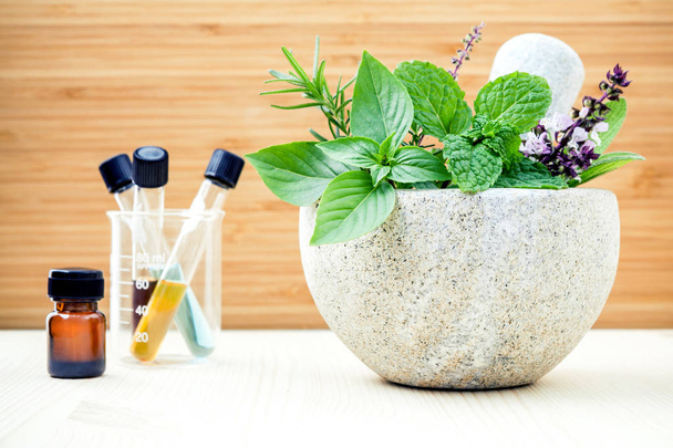 Alternative health care and herbal medicine .Fresh herbs and aro - Photo, Image