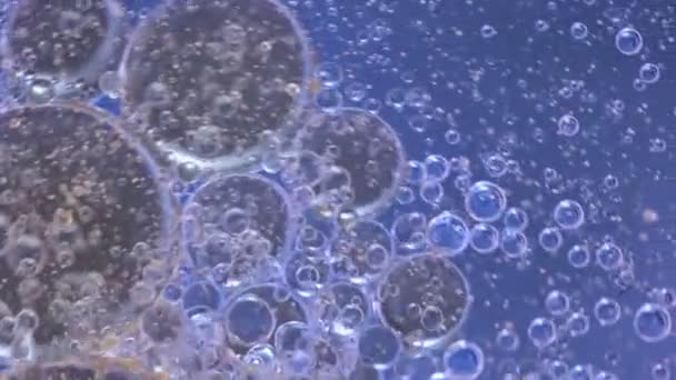 Olie babbles op water, abstractie video. Macro - Video