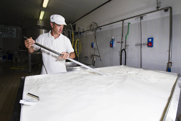 Cheese maker is mixing the milk - Foto, imagen