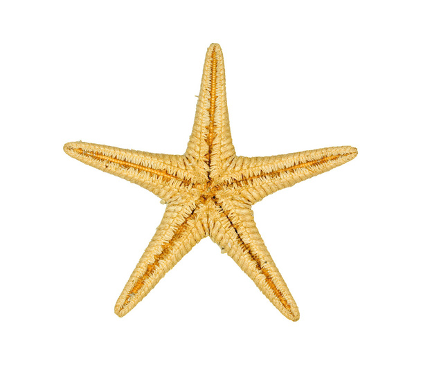 морська зірка
 - Фото, зображення
