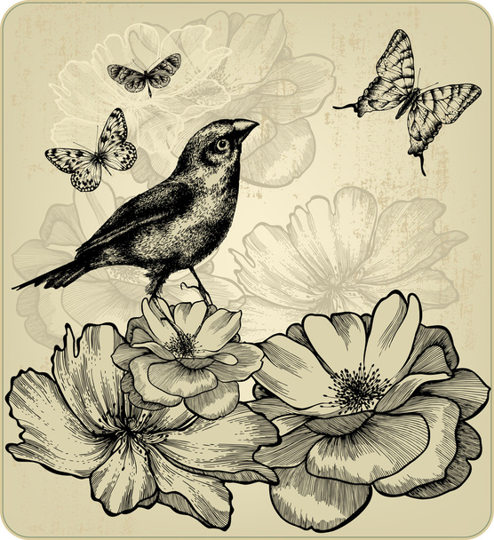 Background with blooming roses, birds and flying butterflies. Ve - Вектор, зображення