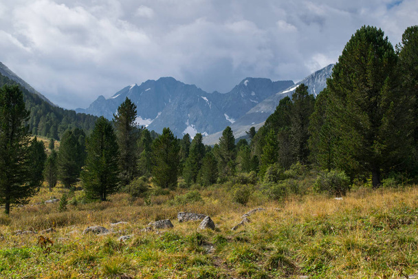 Altai mountains in Russia - Zdjęcie, obraz