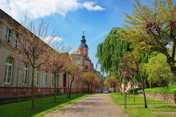 Baden Baden kościoła Stiftskirche i park w Niemczech - Zdjęcie, obraz