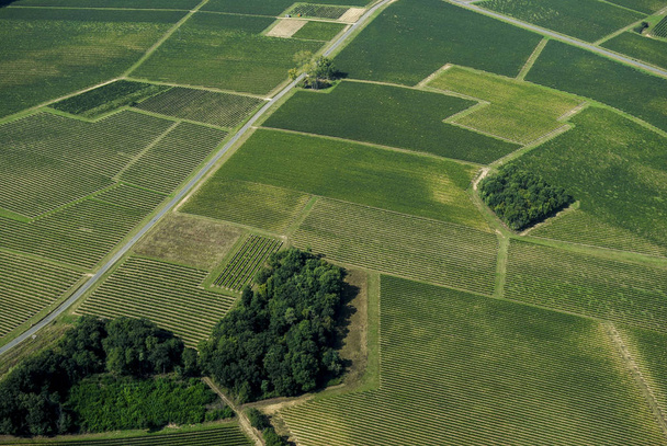 Aerial view of Bordeaux vineyard, France - Valokuva, kuva